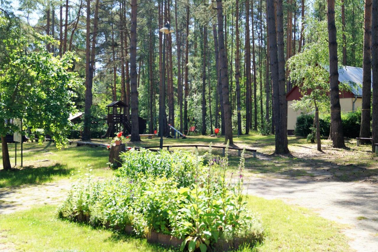 Ferienhaussiedlung am Chossewitzer See Friedland  Exterior foto