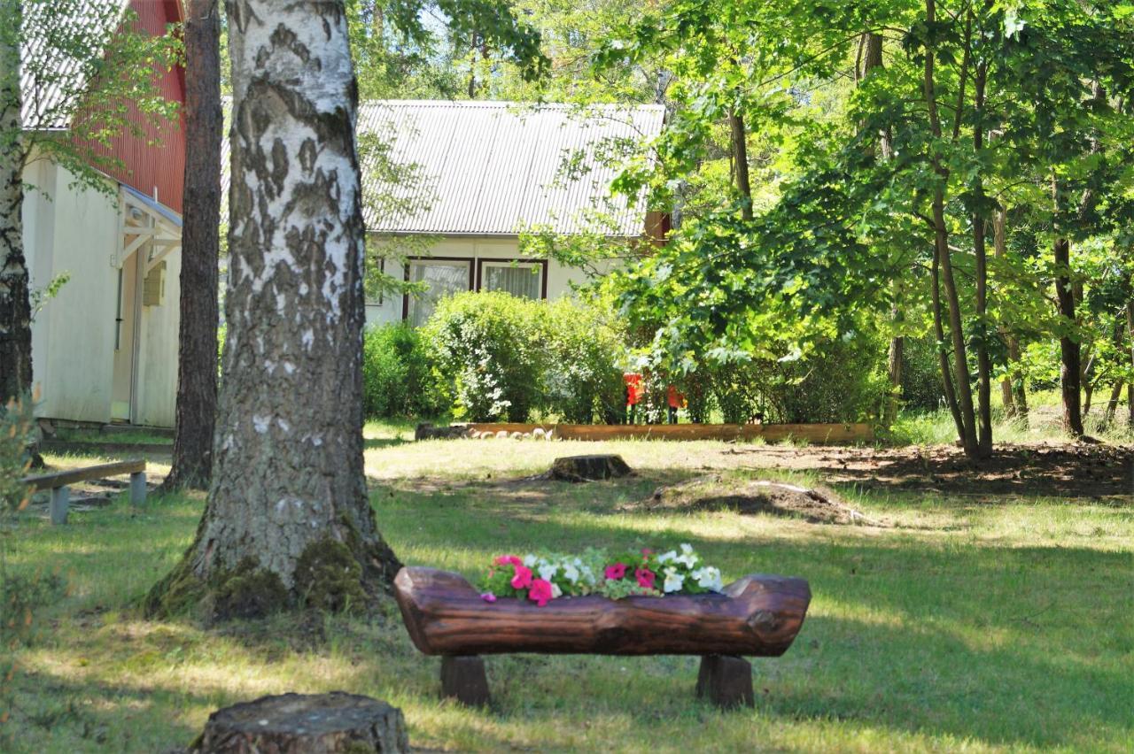 Ferienhaussiedlung am Chossewitzer See Friedland  Exterior foto